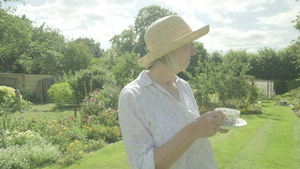 在花园里喝茶的老年妇女28秒视频