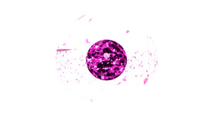 上百万粉红沙库拉叶子在豪华花岗岩球石周围飞行20秒视频