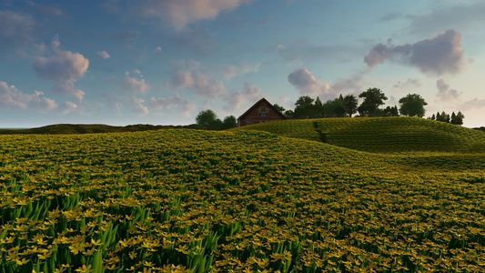 野外的空格中有绿黄色花朵背景里有房子和树视频