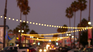 装饰凝视的花环灯棕榈树剪影傍晚的天空18秒视频