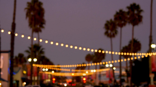 装饰凝视的花环灯棕榈树剪影傍晚的天空模糊的背景加利福尼亚州视频