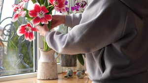 女人把一束美丽鲜花插在花瓶里9秒视频