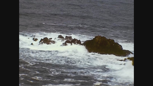 1968年联合王国蜥蜴海观视频
