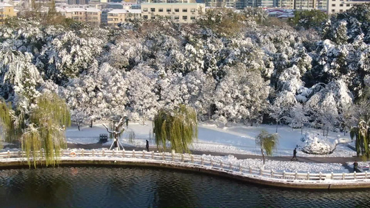 山东济南大明湖景区冬季雪景航拍视频