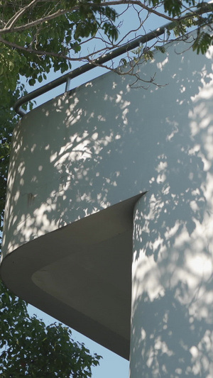 阳光下白墙上晃动的树影教学楼16秒视频