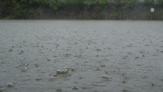 下雨清明谷雨酸雨倾盆大雨蒙蒙细雨视频