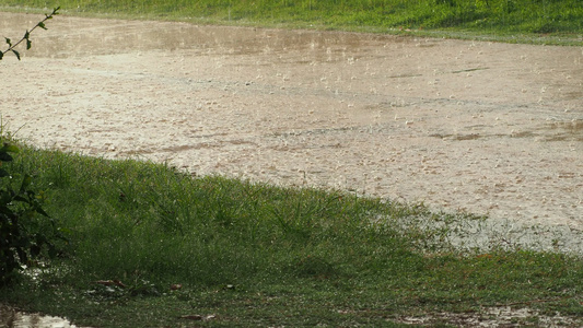 雨季伊始的雨下在路上阳光柔软穿透了美丽的雨4k视频