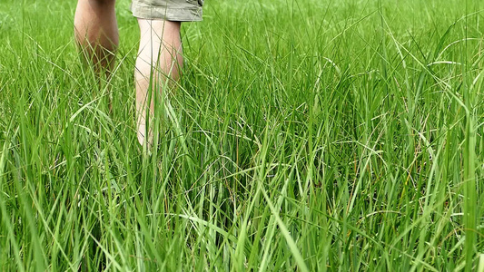 男人在草地里行走慢动作视频
