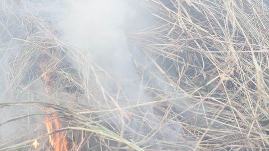 焚烧干草对环境有危险;或视频