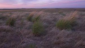 日落的夜晚伊达奥的草原植被23秒视频
