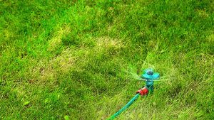 在炎热夏日草坪上的喷水器15秒视频