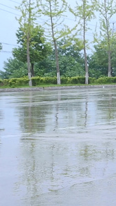 雨天出行视频