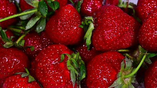 用水清洗红成熟草莓视频