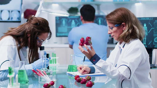 女生物学家记录和观察草莓样本;妇女生物学家视频