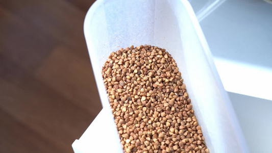 微麦存放在一个特殊的塑料容器中视频