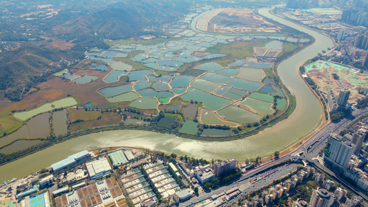 航拍深圳城市郊区水田视频