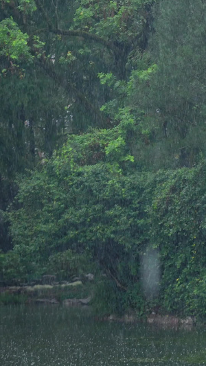 雨天湖面建筑空镜视频古建筑15秒视频