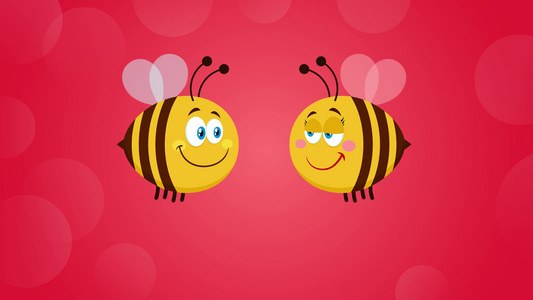 情侣蜜蜂视频