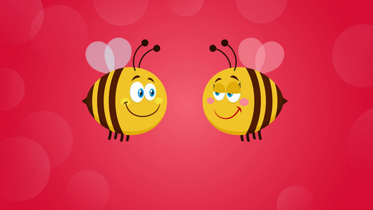 相爱的情侣蜜蜂视频