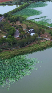 航拍武汉后官湖绿道湿地公园武汉城市视频