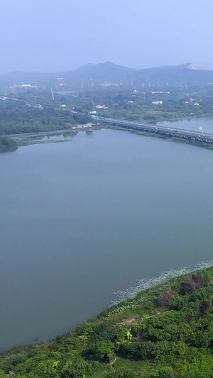 航拍武汉严西湖垮湖大桥交通和乡村风光35秒视频