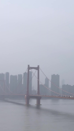 航拍武汉鹦鹉洲长江大桥武汉航拍17秒视频
