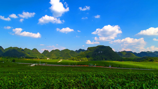 4k延时茶山天空视频