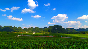 4k延时茶山天空7秒视频