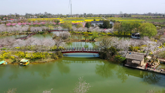 田园风光视频