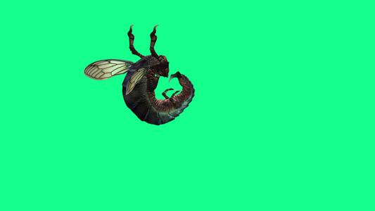 4k垂直视频动画蜂苍蝇和绿屏攻击视频