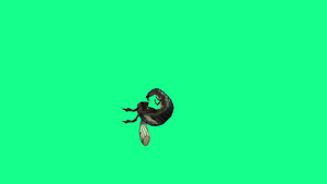 4k垂直视频动画蜂苍蝇和绿屏攻击16秒视频