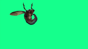 4k蜜蜂黄蜂苍蝇和绿屏攻击3D 动画16秒视频