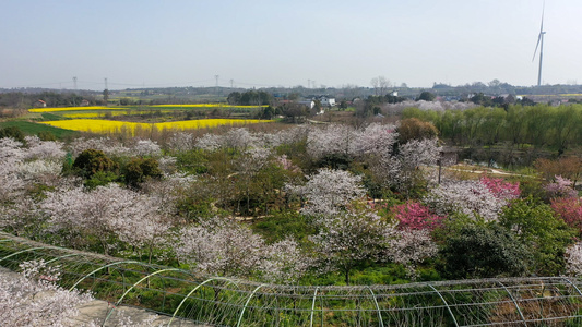 田园风光视频