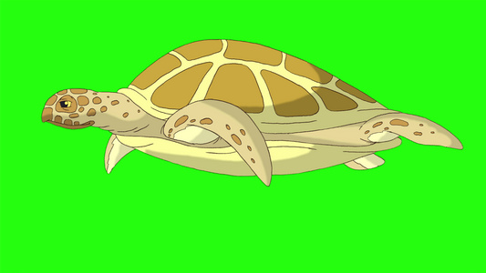 卡通海龟游动绿屏视频