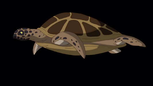 卡通海龟游动绿屏视频