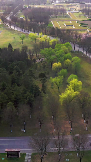 公园航拍城市绿化102秒视频