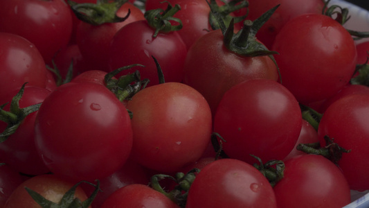 樱桃小番茄小西红柿新鲜圣女果4k视频视频