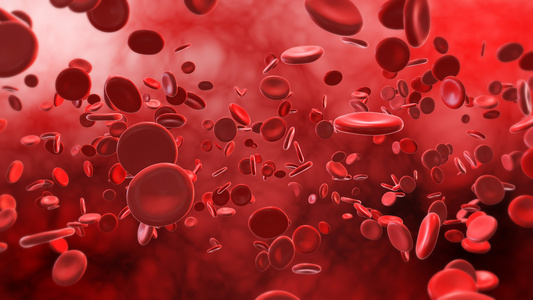 4K三维血液血红细胞流动背景视频