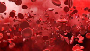 4K三维血液血红细胞流动背景60秒视频