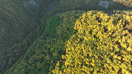 航拍秋季大兴安岭林区风景视频