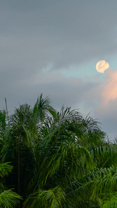 满月缓缓升起穿越云层延时中秋节视频