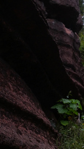 慢镜头升格拍摄湖南湘西4A级旅游景区红石林国家地质公园游客背影素材4A景区视频
