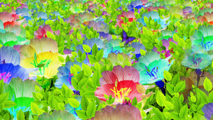 4K唯美的鲜花背景素材30秒视频