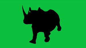 4k动画犀牛在绿屏上行走15秒视频