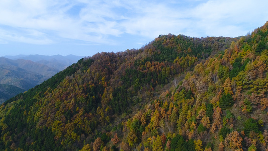 山区秋天航拍视频