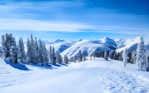 唯美的雪地风景4秒视频