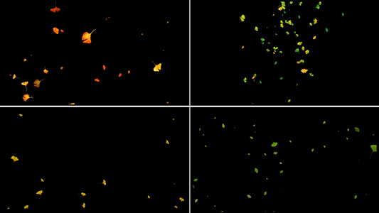 一组银杏叶粒子动画视频