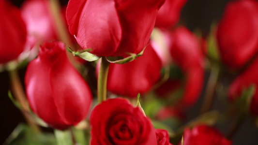 家具生活品味装饰爱情表白红玫瑰花 视频