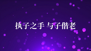 浪漫温馨婚礼快闪介绍AE模板45秒视频