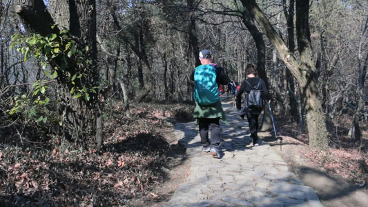 登山的人实拍视频素材视频